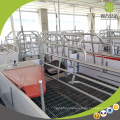 Hot Sale Galvanized Farrowing Crate Customized Poultry Feed Equipment